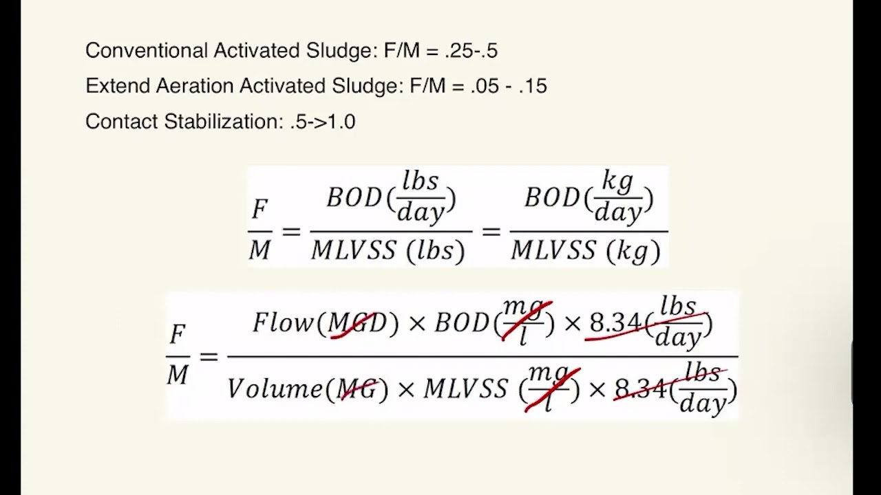 Understanding the Importance of FM Ratio in Wastewater Treatment