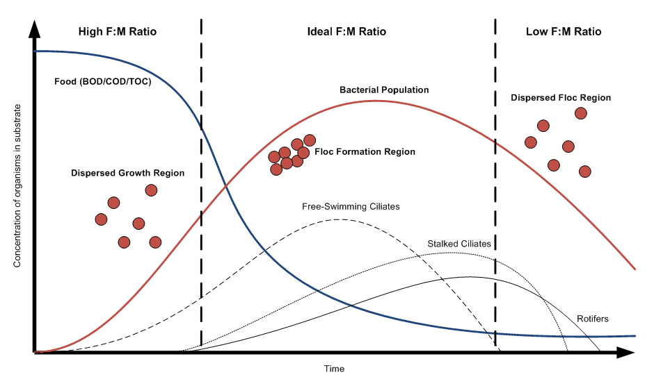 Understanding the Importance of FM Ratio in Wastewater Treatment