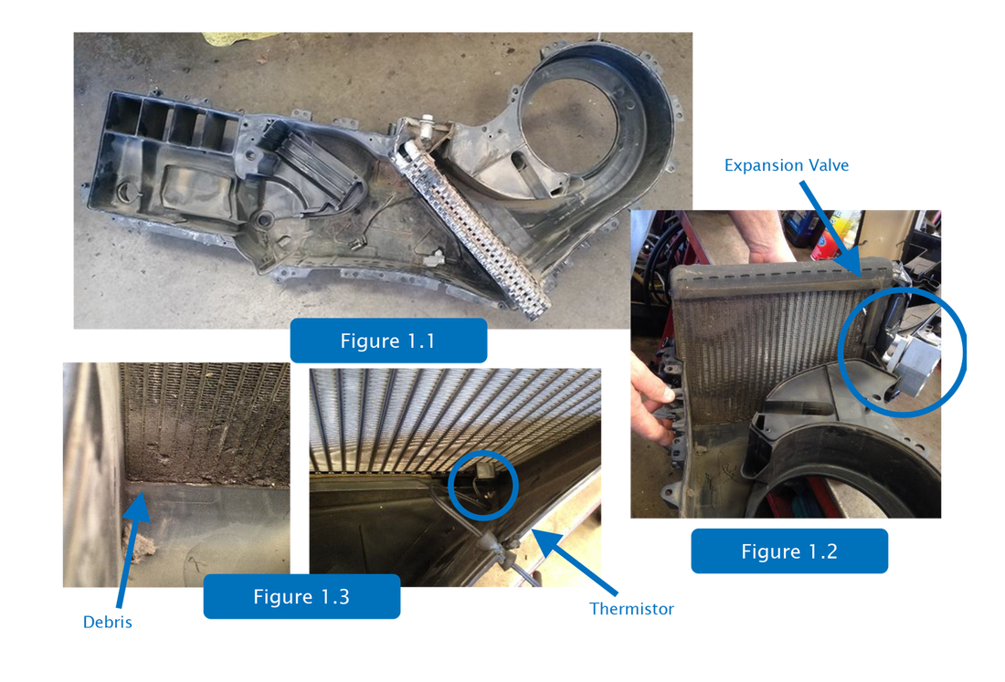 2012 F150 Evaporator Replacement Guide： Costs & Tips