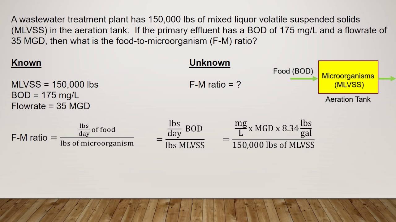 Understanding the Importance of FM Ratio in Wastewater Treatment
